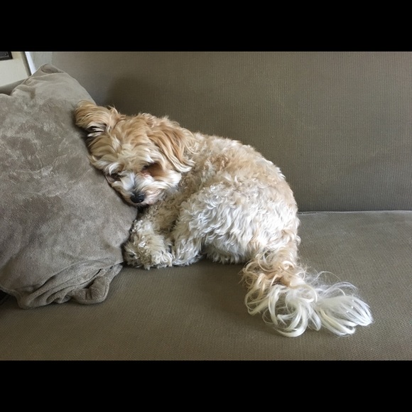 Meet your Posher, Maureen - Picture 1 of 1